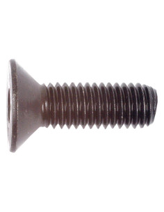 Tornillos Cabeza Avellanada, Tamaño: 8 x 25mm (Din 7991) 2