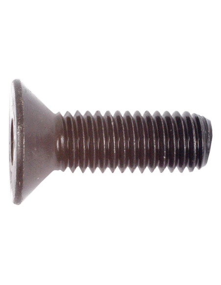 Tornillos Cabeza Avellanada, Tamaño: 8 x 25mm (Din 7991)