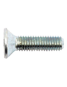 Tornillos Cabeza Avellanada, Tamaño: 8 x 30mm (Din 7991) 2