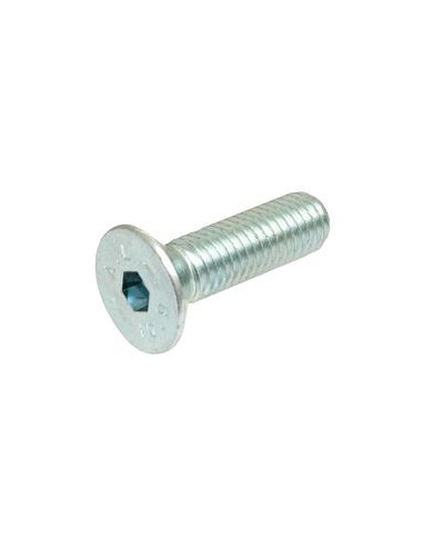 Tornillos Cabeza Avellanada, Tamaño: M5 x 20mm (Din 7991)
