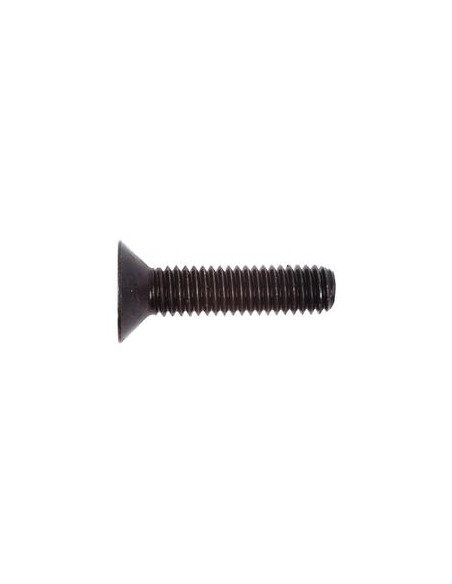 Tornillos Cabeza Avellanada, Tamaño: M6 x 20mm (Din 7991)