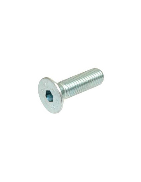 Tornillos Cabeza Avellanada, Tamaño: M6 x 40mm (Din 7991)