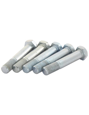 Tornillo - F10, 5/8'' x 84mm, Resistencia a la...