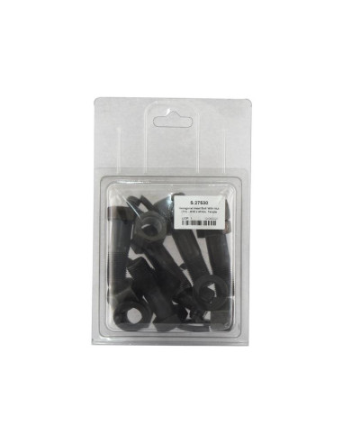 Tornillo - M16 x 47mm, Resistencia a la...