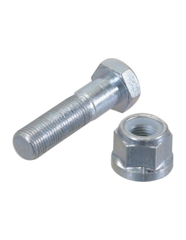 Tornillo - M16 x 60mm, Resistencia a la...