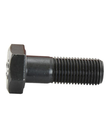 Tornillo - M16 x 70mm, Resistencia a la...