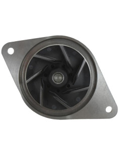 Bomba De Agua (Se suministra con polea) 2