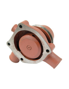 Bomba De Agua (Se suministra con polea)