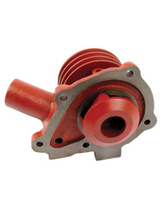 Bomba De Agua (Se suministra con polea) 2