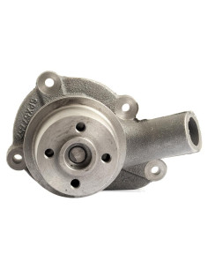 Bomba De Agua (Se suministra con polea) 2