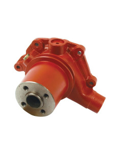 Bomba De Agua (Se suministra con polea)