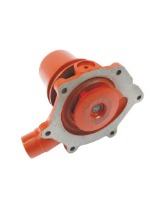 Bomba De Agua (Se suministra con polea) 2