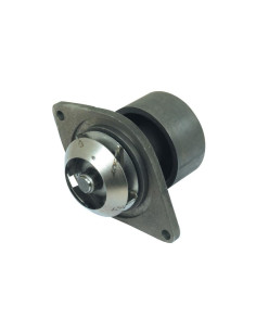 Bomba De Agua (Se suministra con polea)