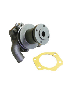 Bomba De Agua (Se suministra con polea) 2