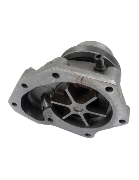 Bomba De Agua (Se suministra con polea)