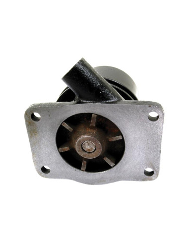 Bomba De Agua (Se suministra con polea)