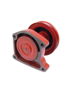 Bomba De Agua (Se suministra con polea) 2