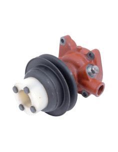 Bomba De Agua (Se suministra con polea)