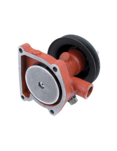 Bomba De Agua (Se suministra con polea) 2