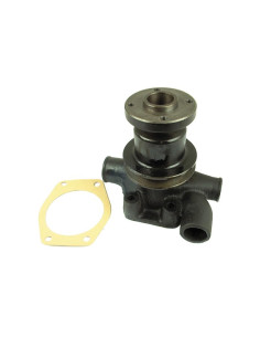 Bomba De Agua (Se suministra con polea)