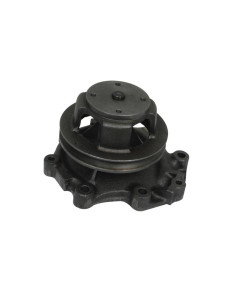 Bomba De Agua (Se suministra con polea)