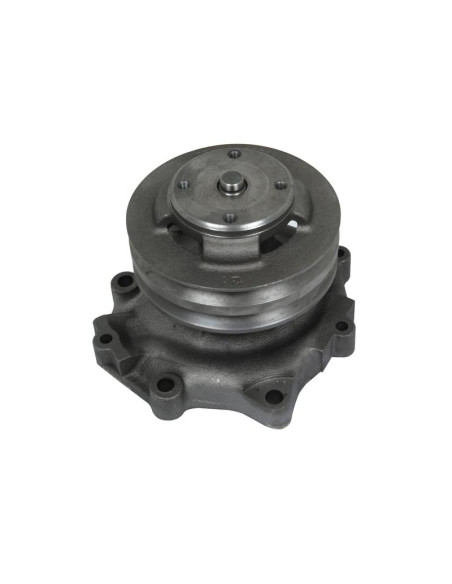 Bomba De Agua (Se suministra con polea)