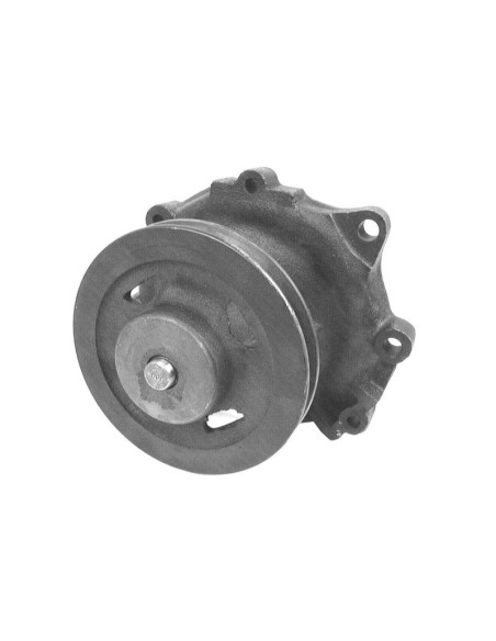 Bomba De Agua (Se suministra con polea)