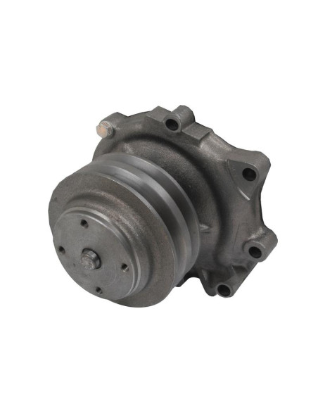 Bomba De Agua (Se suministra con polea)