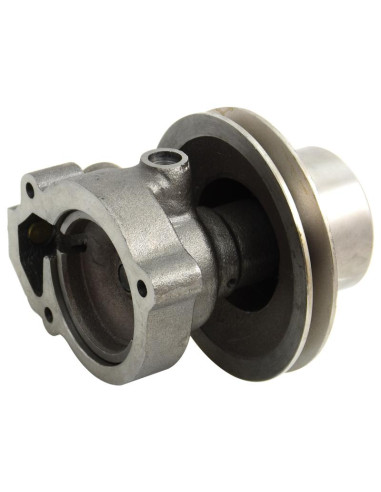 Bomba De Agua (Se suministra con polea)