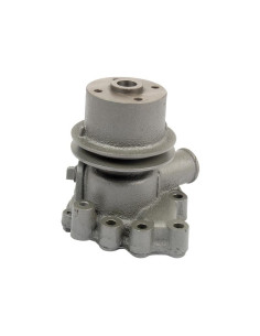 Bomba De Agua (Se suministra con polea) 2