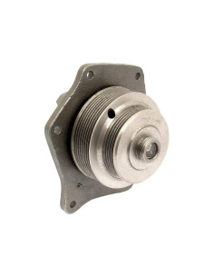 Bomba De Agua (Se suministra con polea) 2