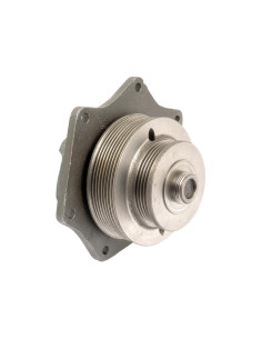 Bomba De Agua (Se suministra con polea) 2