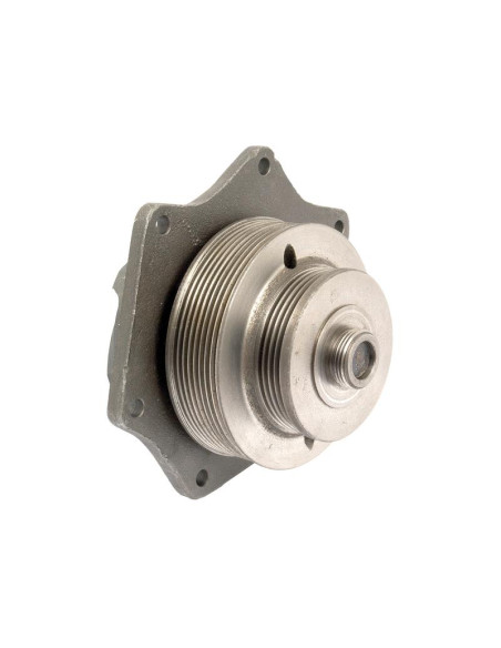 Bomba De Agua (Se suministra con polea)