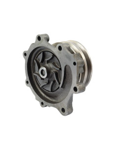 Bomba De Agua (Se suministra con polea) 2