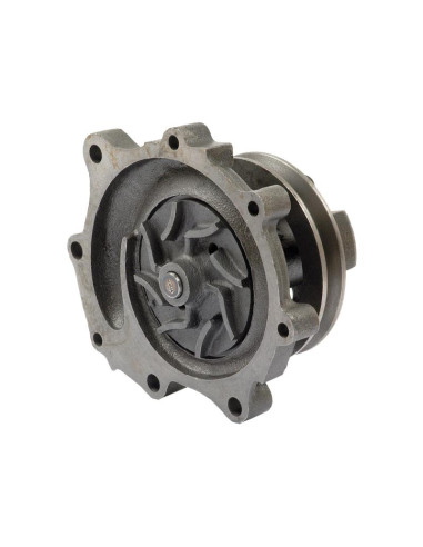 Bomba De Agua (Se suministra con polea)