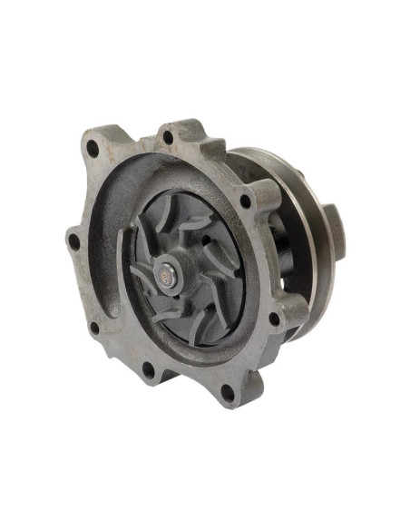 Bomba De Agua (Se suministra con polea)