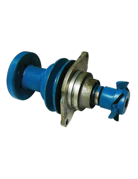 Bomba De Agua (Se suministra con polea)