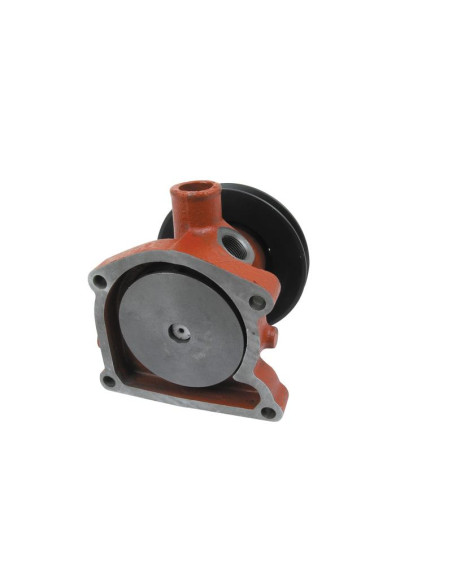 Bomba De Agua (Se suministra con polea)