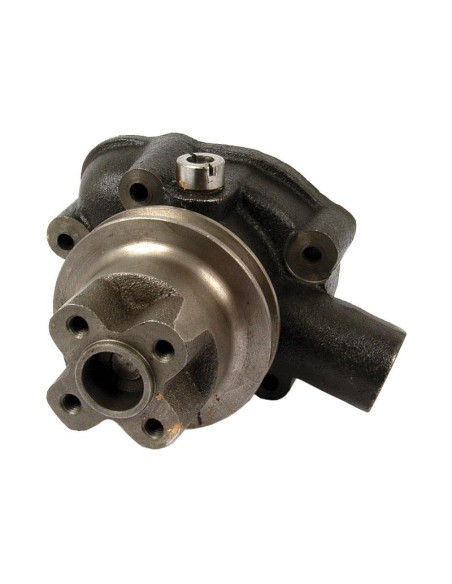 Bomba De Agua (Se suministra con polea)