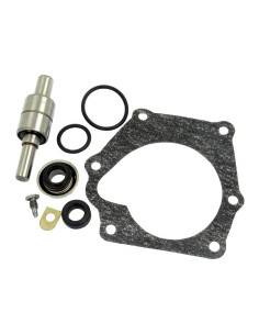 Juego Repar. Bomba de Agua