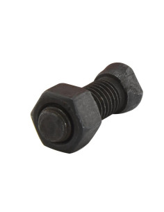 Tornillo Redondo Cuello Cuadrado - M12 x 50mm,... 2