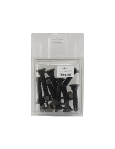 Tornillo Redondo Cuello Cuadrado - M12 x 60mm,...