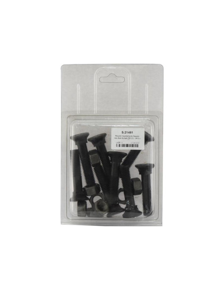 Tornillo Redondo Cuello Cuadrado - M12 x 60mm, Resistencia a la tracción 12.9 (8 pzas. Blister)