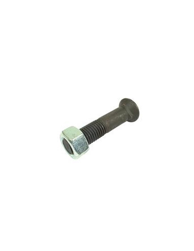 Tornillo Redondo Cuello Cuadrado - M14 x 40mm, Resistencia a la tracción 8.8 (25 pzas. Caja)
