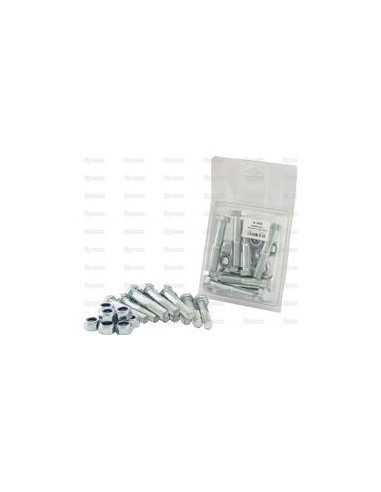 Paquete de tornillos de corte-M12 x 65 + SLN