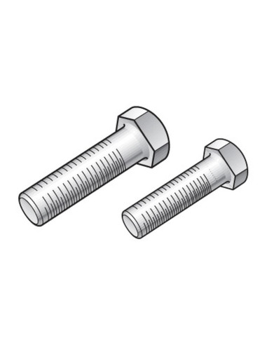Paquete de tornillos de corte-M8 x 50 + SLN.
