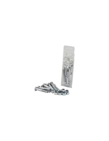 Tornillo Segur, M10 x 60mm (10 pzas. Blister)