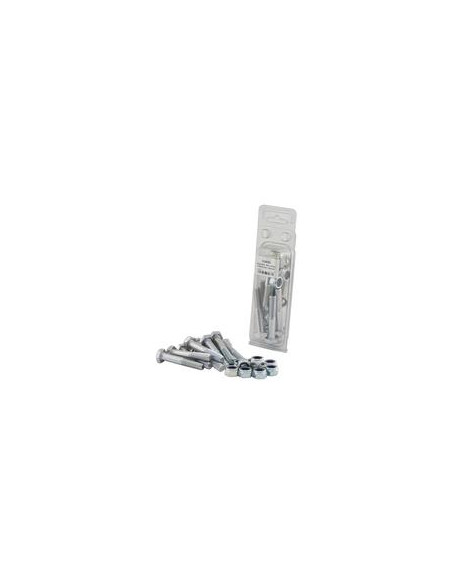 Tornillo Segur, M10 x 60mm (10 pzas. Blister)