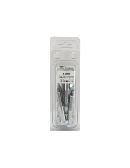 Tornillo Segur, M10 x 60mm (10 pzas. Blister)