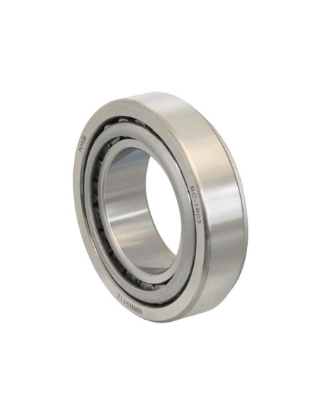 Sparex Rodamiento Rodillo (32210)